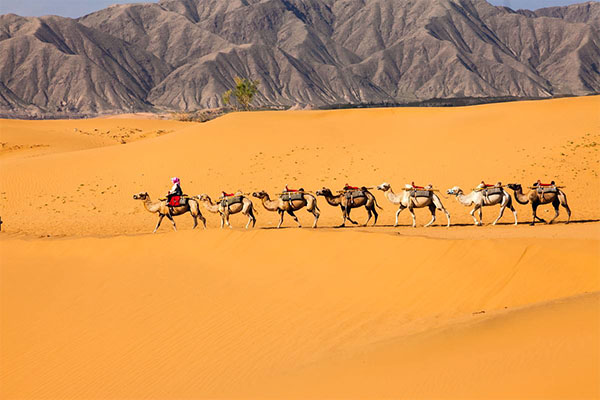 宁夏旅游必去十大景点 黄沙、湖泊与壁画，总有你想看的插图
