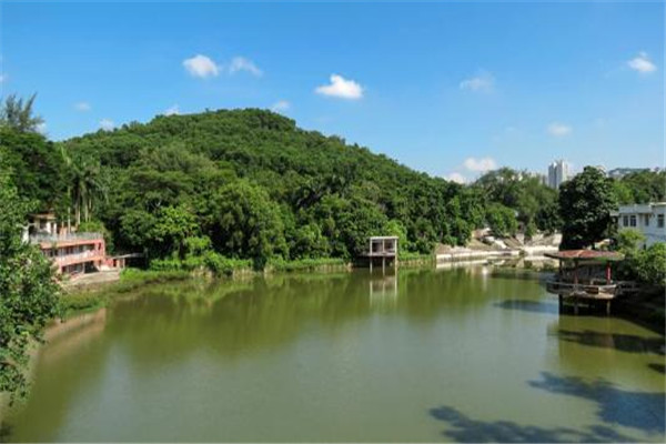 江门十大公园广场排名：釜山公园上榜，第四地方特色插图9