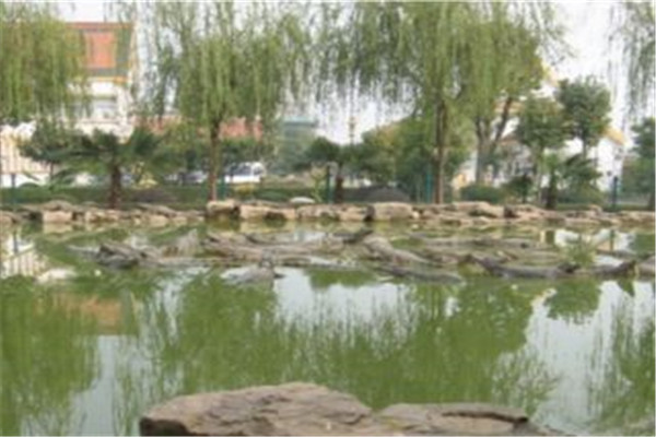 常州十大热门游乐场排名：超弹星球上榜，第九在傲梅园插图7