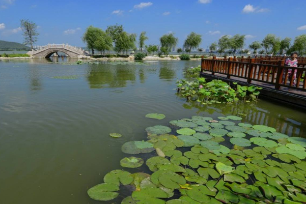 江苏十大旅游景点：廋西湖上榜，它是古桥小镇插图8