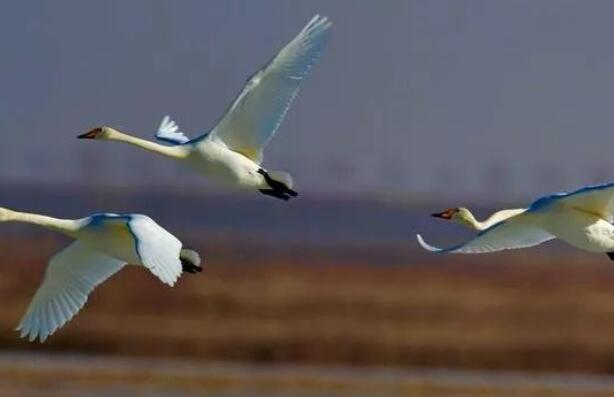 包头十大风景区排行榜：春坤山上榜，马鞍山景区第一插图8
