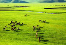 全球四大草原排行榜 中国占了三个，呼伦贝尔位列第一|爱分享