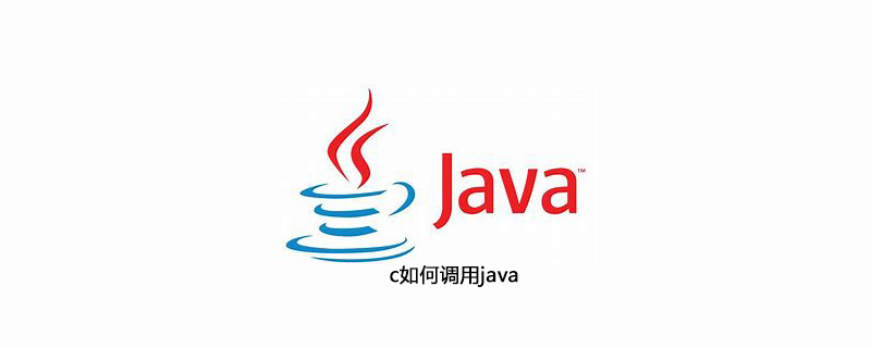 c如何调用java插图