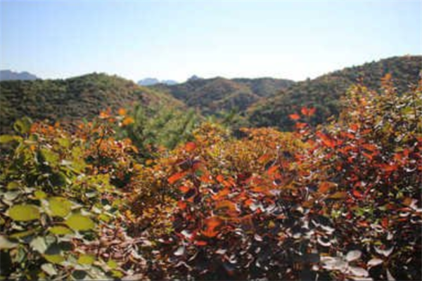 保定十大景区排行榜：宋街上榜，蚕姑坨第三插图4