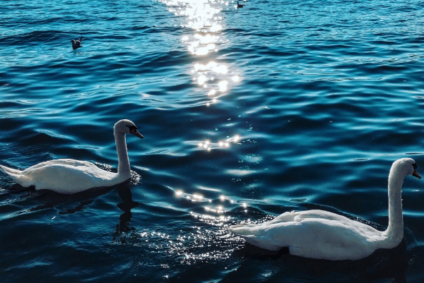 瑞士十大最受欢迎的景点：少女峰上榜，它是为纪念战士而建插图7