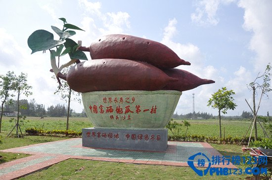 海南省澄迈县八大景点八大小吃排行榜插图24