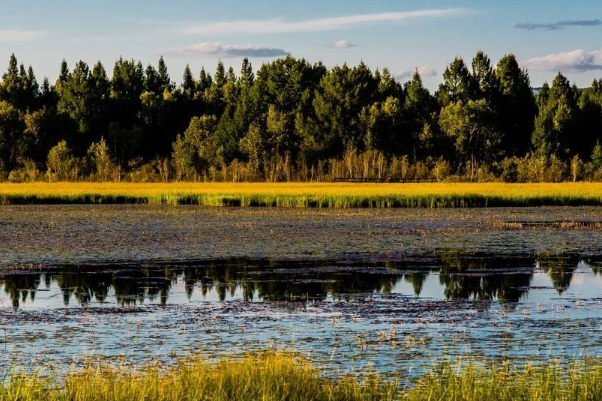 河北十大受欢迎的景点：鸽子窝公园上榜，它是杂技之乡插图4