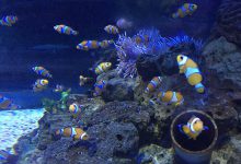 北京十大最贵景点：北京最贵的景点单人票价格是多少？|爱分享