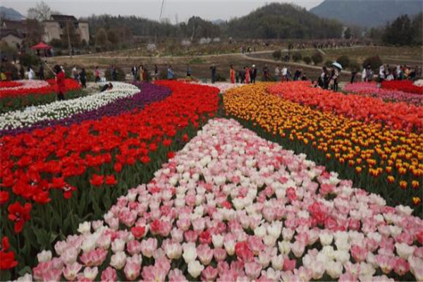 铜陵最好玩的地方推荐 铜陵好玩的地方排行榜插图4