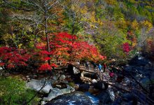 辽宁十大爬山好去处:关门山上榜，第一有千朵莲花山之称|爱分享