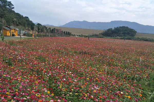 深圳十大农家乐 备受好评的深圳农家乐推荐插图