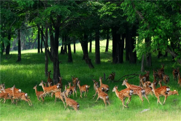 哈尔滨网红景点排行榜 哈尔滨冰雪大世界是哈尔滨独有景点插图9