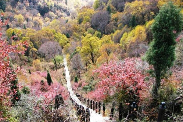 甘肃十大最好玩的地方:天然绿洲月牙泉上榜  已经流淌千年插图8