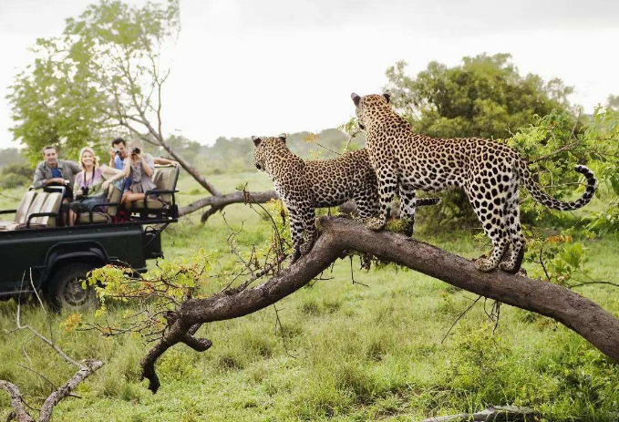 世界最美的十大国家公园 让人震撼的自然美景插图2