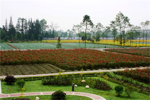 成都旅游必去的网红景点 宽窄巷子景观独特锦里历史建筑多插图2