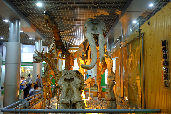 带孩子北京必去的十大景点:第一名充分体现了中华文化的魅力插图6