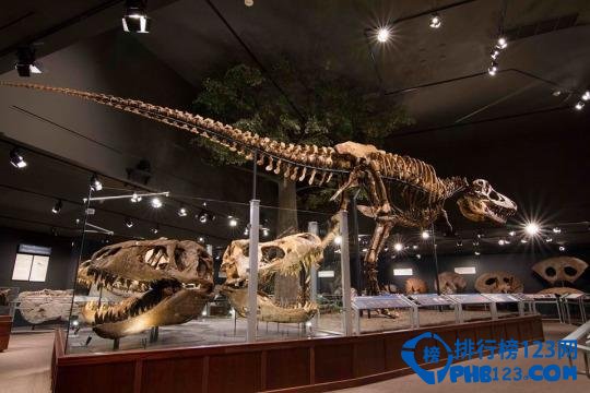 十大现实中的侏罗纪公园排行榜插图5