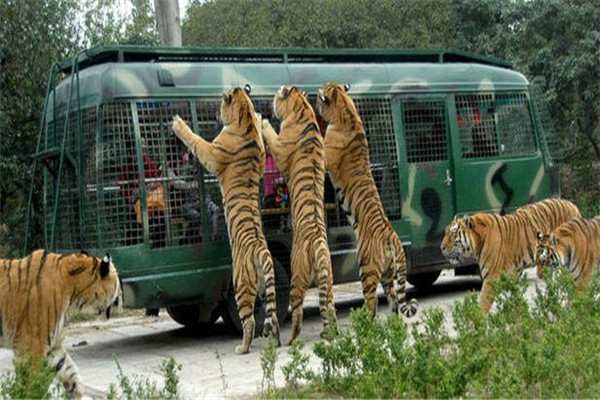 乌鲁木齐10大景点排行榜：红光山上榜，第九古文化遗址插图2