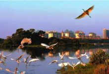 深圳十大必去景点：桔钓沙第二，第一是拍照取景热门地|爱分享