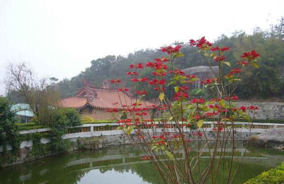 汕头好玩的地方排行榜 汕头十大最好玩的地方推荐插图6