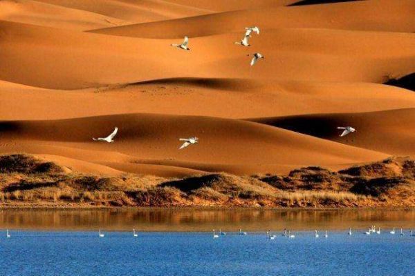 宁夏十大网红地点排行榜 去宁夏不能错过这些地方插图8