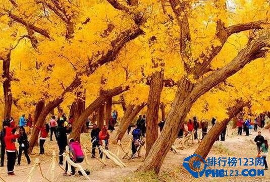 盘点假期最去不得的10大景区 游客量过多插图2