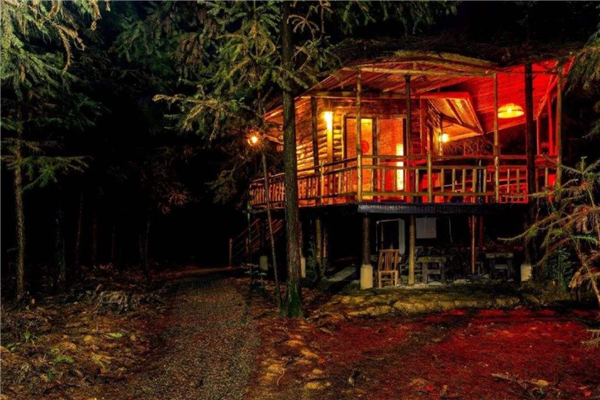 全球十大最美树屋 中国重庆七彩树屋建筑别致 巴厘岛树屋上榜插图4