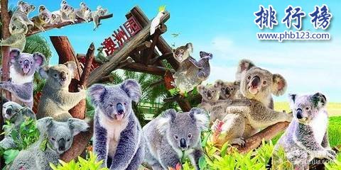 广州有什么好玩的地方 广州旅游必去十大景点排行榜插图7