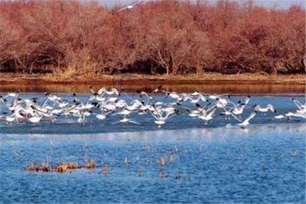 包头有什么好玩的地方？盘点包头好玩的地方排行榜插图4