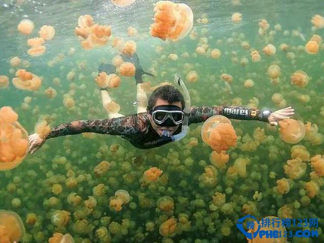 最适合过年家人度假的十大海岛排行榜插图8