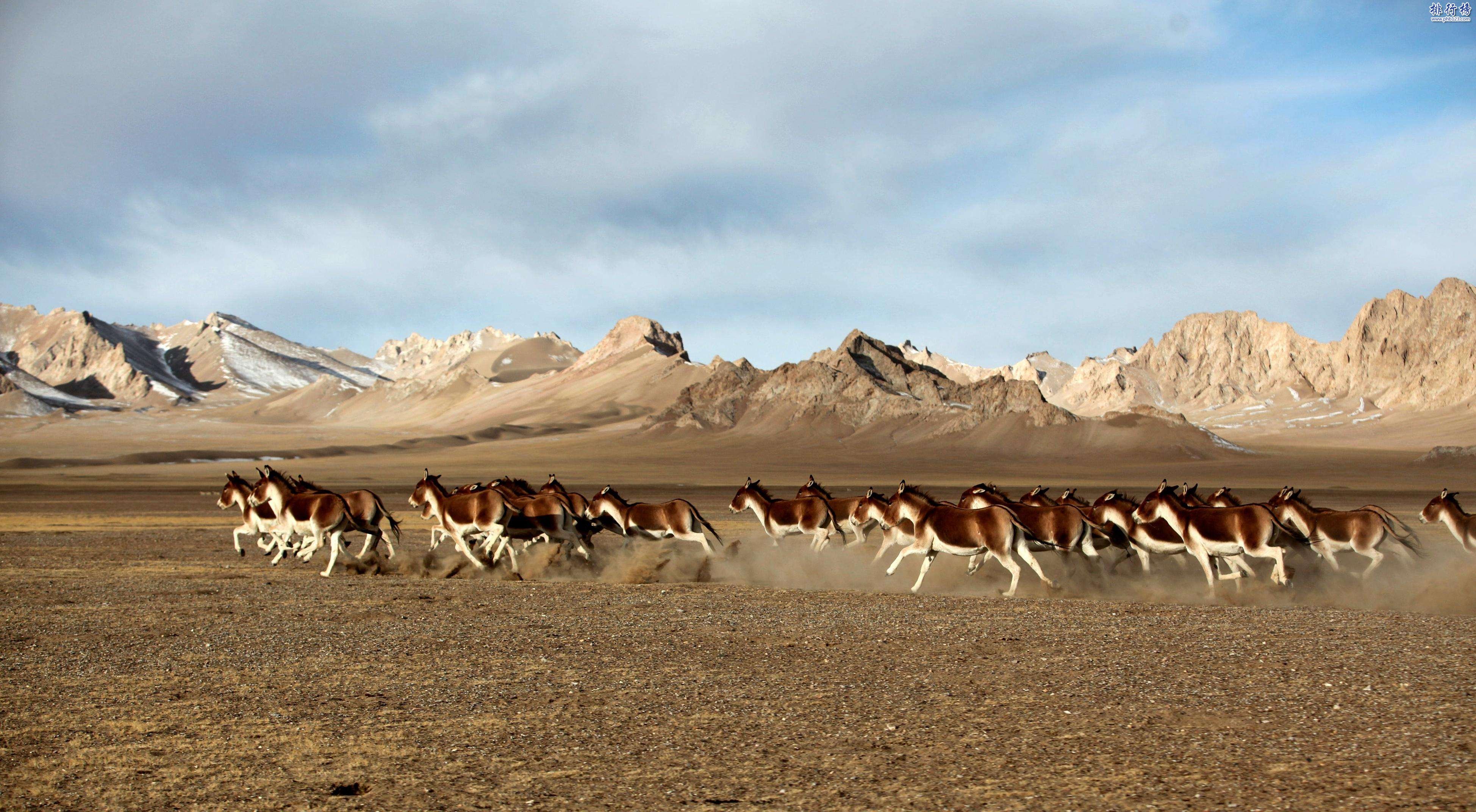 中国四大无人区:传说中有僵尸出没的生命禁区插图7