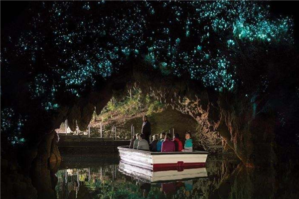 新西兰旅游必去的景点排名 皇后镇景色优美奥克兰繁华热闹插图9