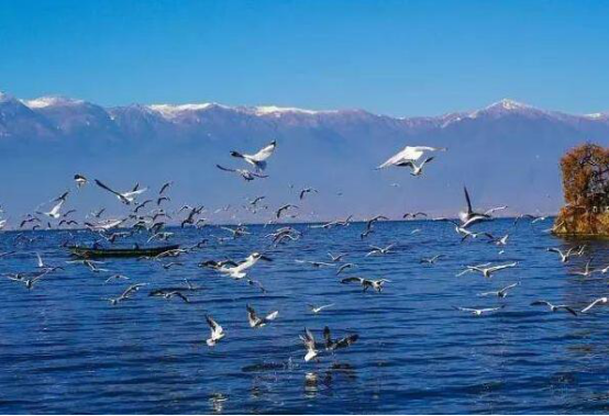 全球度蜜月排行榜 爱琴海北海道上榜,第三是世界婚礼圣地插图4