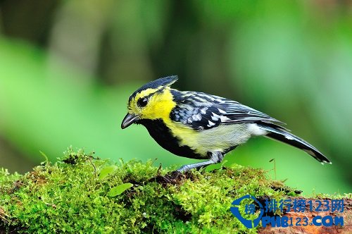 吉隆坡十大魅力游览地排行榜插图