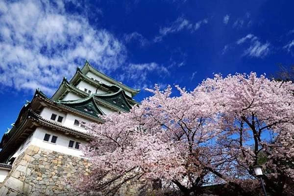 日本必去十大景点:盘点去日本旅游一定不能错过的地方插图4