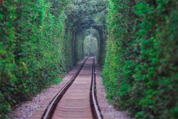 世界十大美景 冰岛蓝冰洞极其梦幻，爱的隧道一定要和爱人去插图6