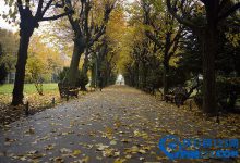 世界上最美的十大林荫隧道排行榜|爱分享