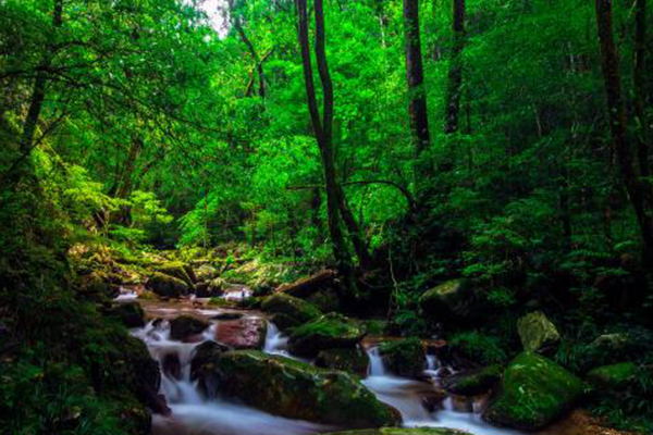 江西十大爬山好去处：庐山第二 第一山峦叠障 蔚为壮观插图7