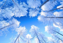 哈尔滨五大抖音热门景点 索菲亚广场排第二，雪谷榜上有名|爱分享