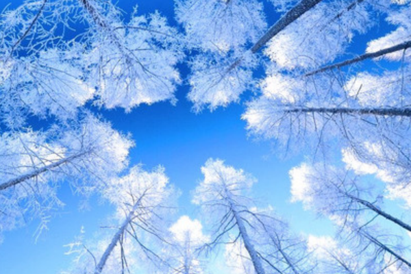 哈尔滨五大抖音热门景点 索菲亚广场排第二，雪谷榜上有名插图4