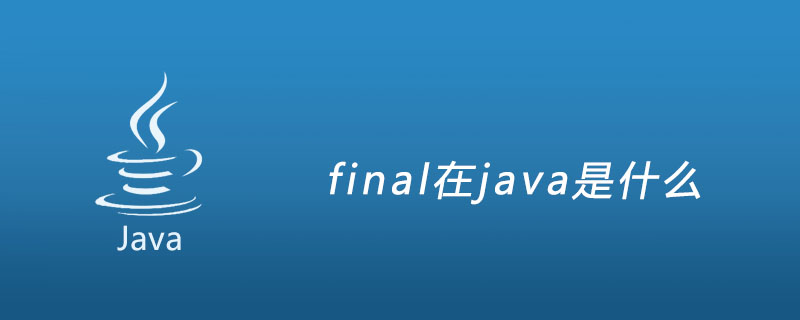 final在java是什么插图