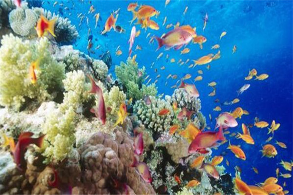 世界十大奇观美景 下龙湾上榜，伊瓜苏瀑布是魔鬼的喉咙插图7