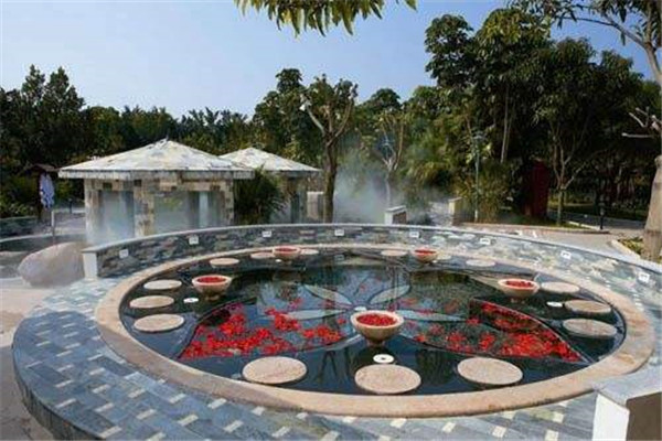 广东十大冬季旅游好去处：天露山上榜，第十冬季观候鸟插图3