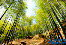 浙江有哪些4a景区 浙江4a旅游景点大全|爱分享