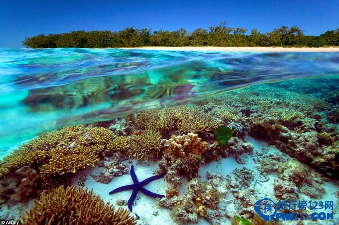 世界十大最具魅力岛屿排行榜插图8