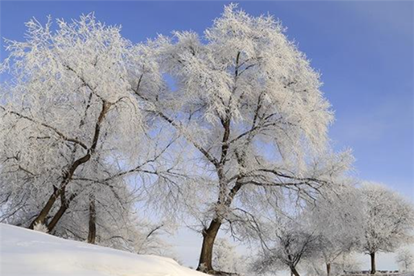 中国十大最美雾凇观赏地：衡山上榜，第六是天鹅栖息地插图5
