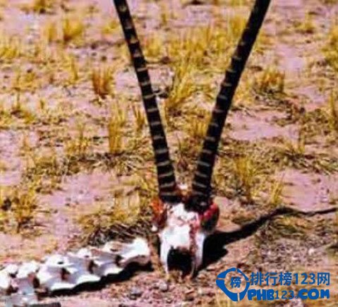 世界十大旅游禁地排行榜插图4