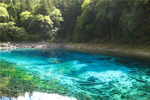 2020四川网红景点排名 熊猫基地独有 五彩池与大自然亲近插图