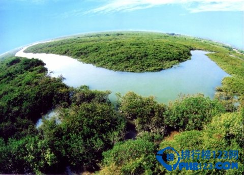 广东十大最美森林插图3