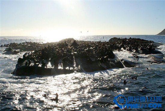 全球最刺激的十大冲浪目的地排行榜插图8